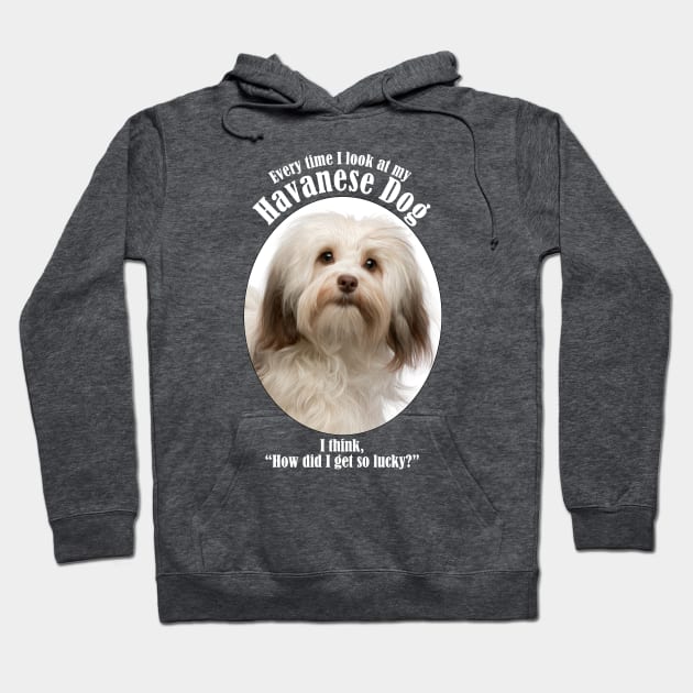 Lucky Havanese Hoodie by You Had Me At Woof